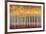 Golden Aspens-Robert Holman-Framed Premium Giclee Print