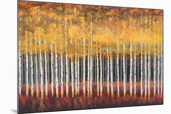 Golden Aspens-Robert Holman-Mounted Premium Giclee Print