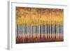 Golden Aspens-Robert Holman-Framed Art Print