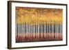 Golden Aspens-Robert Holman-Framed Art Print