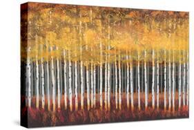 Golden Aspens-Robert Holman-Stretched Canvas