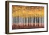 Golden Aspens-Robert Holman-Framed Art Print