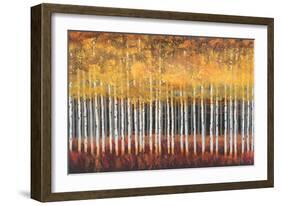 Golden Aspens-Robert Holman-Framed Art Print