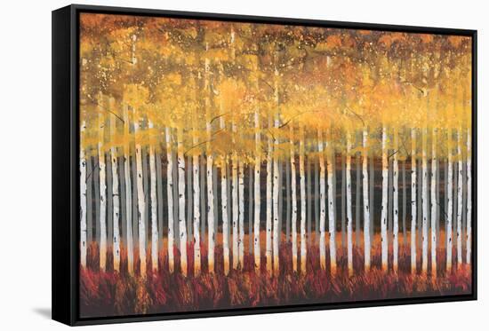 Golden Aspens-Robert Holman-Framed Stretched Canvas