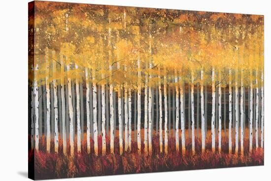 Golden Aspens-Robert Holman-Stretched Canvas