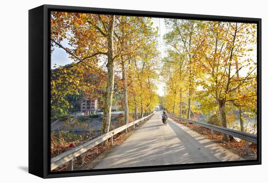 Golden Autumn Colors with Motorbike in an Alley of a Village Near Qiandao Lake-Andreas Brandl-Framed Stretched Canvas