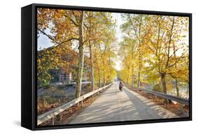 Golden Autumn Colors with Motorbike in an Alley of a Village Near Qiandao Lake-Andreas Brandl-Framed Stretched Canvas