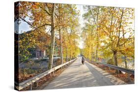 Golden Autumn Colors with Motorbike in an Alley of a Village Near Qiandao Lake-Andreas Brandl-Stretched Canvas