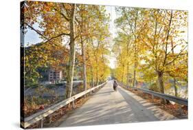 Golden Autumn Colors with Motorbike in an Alley of a Village Near Qiandao Lake-Andreas Brandl-Stretched Canvas