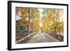 Golden Autumn Colors with Motorbike in an Alley of a Village Near Qiandao Lake-Andreas Brandl-Framed Photographic Print