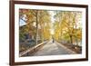 Golden Autumn Colors with Motorbike in an Alley of a Village Near Qiandao Lake-Andreas Brandl-Framed Photographic Print