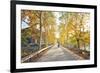 Golden Autumn Colors with Motorbike in an Alley of a Village Near Qiandao Lake-Andreas Brandl-Framed Photographic Print
