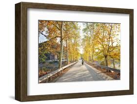 Golden Autumn Colors with Motorbike in an Alley of a Village Near Qiandao Lake-Andreas Brandl-Framed Photographic Print