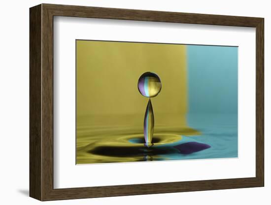 Golden Balance-Heidi Westum-Framed Photographic Print