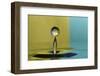 Golden Balance-Heidi Westum-Framed Photographic Print