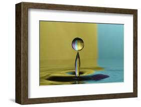 Golden Balance-Heidi Westum-Framed Photographic Print