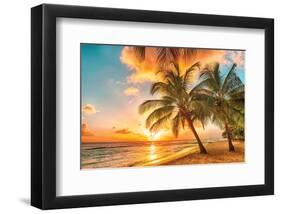 Golden Barbados Beach Sunset-null-Framed Art Print