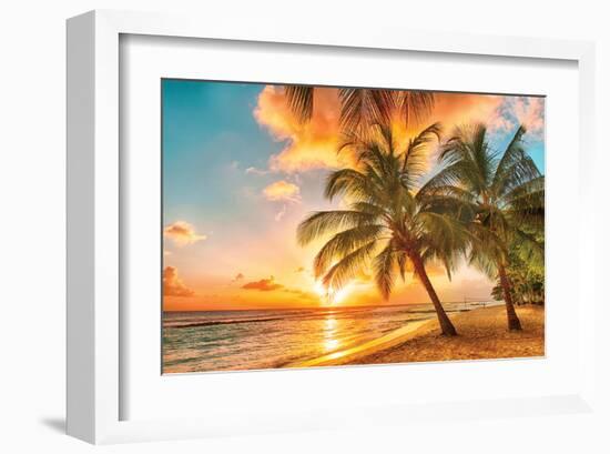 Golden Barbados Beach Sunset-null-Framed Art Print