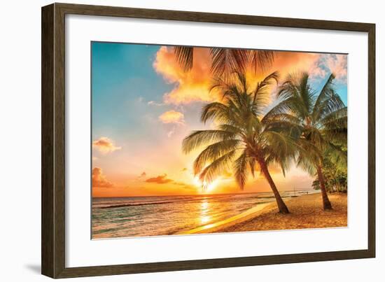 Golden Barbados Beach Sunset-null-Framed Art Print