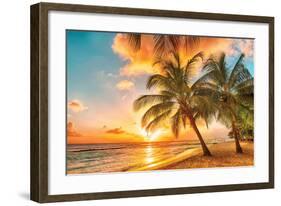 Golden Barbados Beach Sunset-null-Framed Art Print