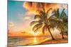 Golden Barbados Beach Sunset-null-Mounted Art Print