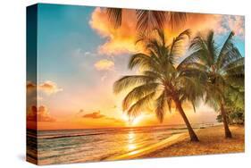 Golden Barbados Beach Sunset-null-Stretched Canvas