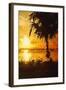 Golden Beach - In the Style of Oil Painting-Philippe Hugonnard-Framed Giclee Print