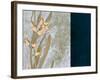 Golden Beauty IV-Hollack-Framed Giclee Print