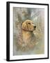 Golden Beauty-Ruane Manning-Framed Art Print