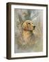 Golden Beauty-Ruane Manning-Framed Art Print