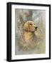 Golden Beauty-Ruane Manning-Framed Art Print