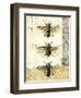 Golden Bees n Butterflies No 1-Katie Pertiet-Framed Premium Giclee Print