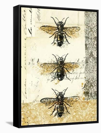 Golden Bees n Butterflies No 1-Katie Pertiet-Framed Stretched Canvas