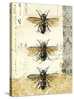 Golden Bees n Butterflies No 1-Katie Pertiet-Stretched Canvas