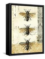 Golden Bees n Butterflies No 1-Katie Pertiet-Framed Stretched Canvas
