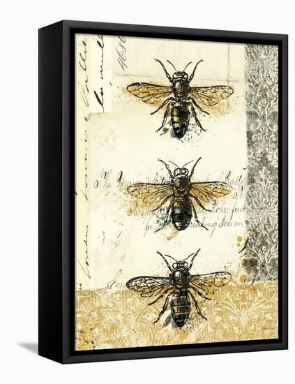 Golden Bees n Butterflies No 1-Katie Pertiet-Framed Stretched Canvas