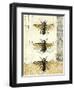 Golden Bees n Butterflies No 1-Katie Pertiet-Framed Art Print