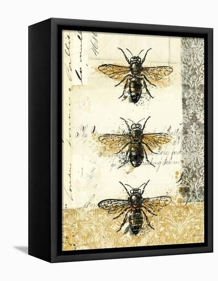 Golden Bees n Butterflies No 1-Katie Pertiet-Framed Stretched Canvas