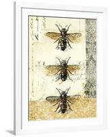 Golden Bees n Butterflies No 1-Katie Pertiet-Framed Art Print