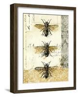 Golden Bees n Butterflies No 1-Katie Pertiet-Framed Art Print