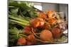 Golden Beets, Santa Fe, New Mexico, United States-Julien McRoberts-Mounted Photographic Print