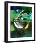 Golden Bell Frog Diving-David Northcott-Framed Photographic Print