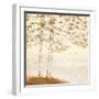 Golden Birch I Off White-James Wiens-Framed Art Print