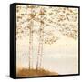Golden Birch I Off White-James Wiens-Framed Stretched Canvas