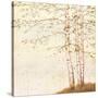 Golden Birch II Off White-James Wiens-Stretched Canvas