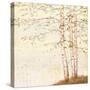 Golden Birch II Off White-James Wiens-Stretched Canvas