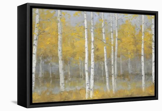 Golden Birch Panel-Jill Schultz McGannon-Framed Stretched Canvas