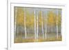 Golden Birch Panel-Jill Schultz McGannon-Framed Art Print