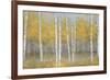 Golden Birch Panel-Jill Schultz McGannon-Framed Art Print