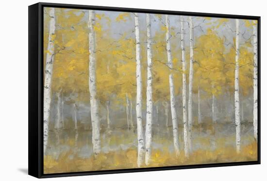 Golden Birch Panel-Jill Schultz McGannon-Framed Stretched Canvas